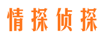 怀远私家调查公司